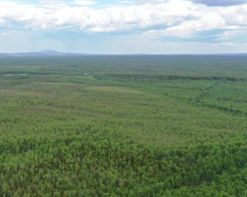 Aerial view of Cyans' 60 hectare forest in Northern Lapland, Finland